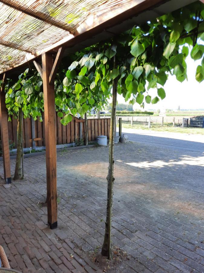 Apartamento Anneke'S Bed En Botterhammeke Woensdrecht Exterior foto